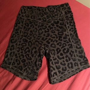 Balance Athletic Panther Shorts Limited Collection